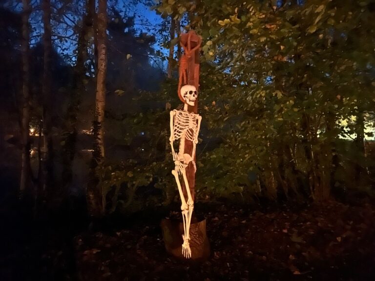 125848d0-ca51-402b-9bad-fa86658226dc