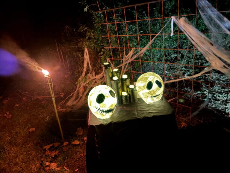 38f91e72-42d4-40bc-9ed0-b1025098e5a2