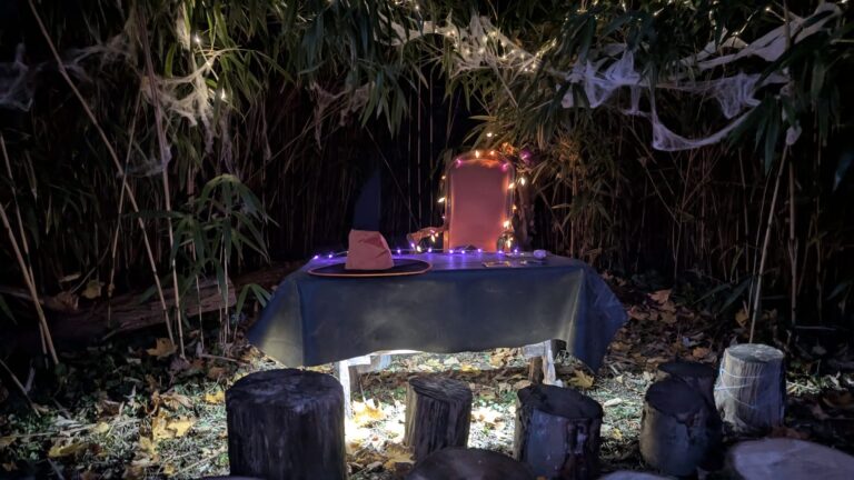 7868cafb-e574-41ef-b88a-9ac5cba8d305