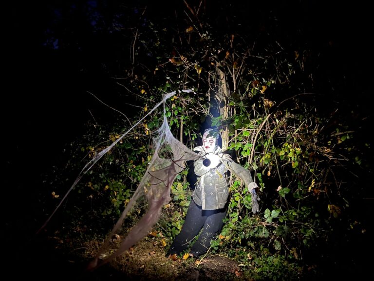 78c523b1-f567-453d-999e-ba4be364512f