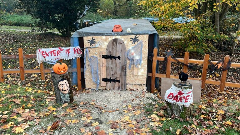 a3a038bf-b726-414e-95e4-1a830f6b4c52