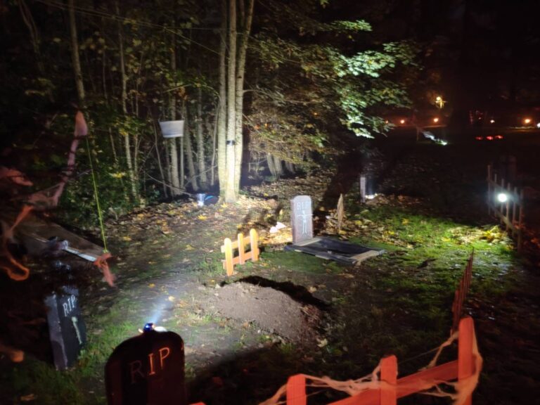 ad578db6-8796-48a3-bdab-f11288ca57d7