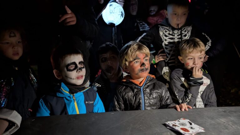 cab9aac1-ac72-41ed-927f-0e0fdd211630