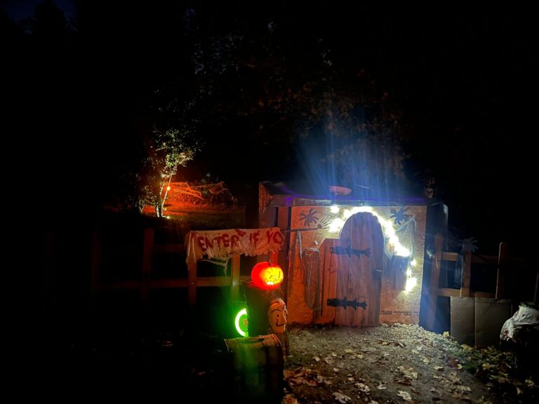 fc69e578-8ade-44c3-b335-6bdfd53c3691